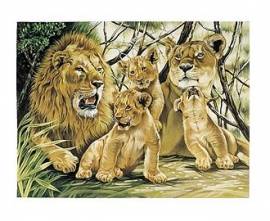L�wenfamilie, 30 x 40 cm - Bild vergr��ern 