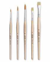 5 Studien - Pinsel im Set