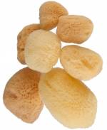 Naturschwamm, � 3 - 4 cm, feinporig