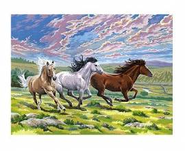 Galoppierende Pferde, 30 x 40 cm